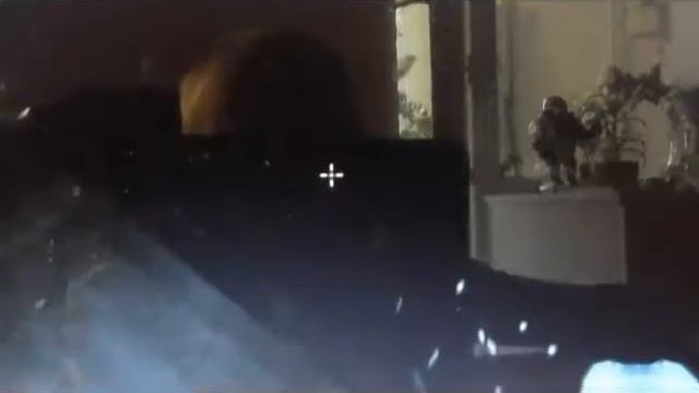 Двойное видео смотреть онлайн