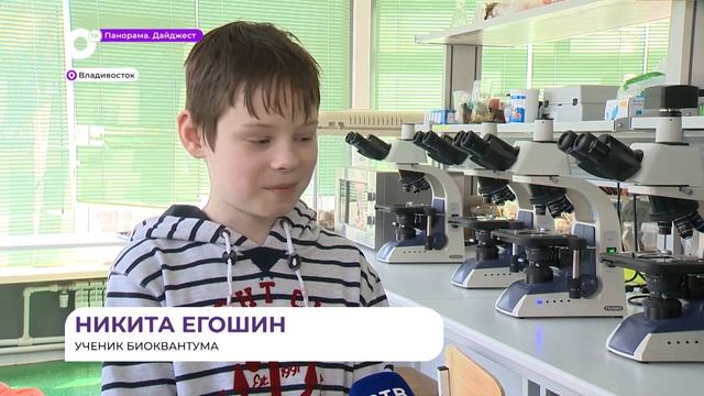Занятия по микробиологии проводят во Владивостоке в рамках программы «Инженерные каникулы» смотреть онлайн
