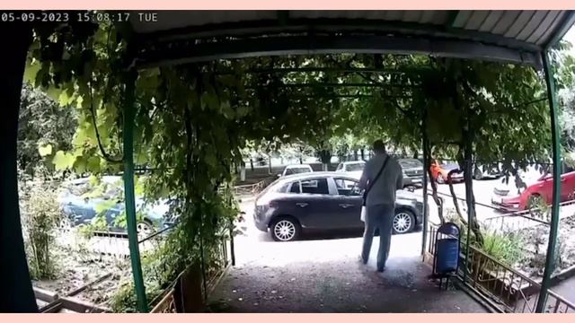 Ростов-на-Дону: в Северном мужчина отравил собаку в одном из многоквартирных домов. ? смотреть онлайн