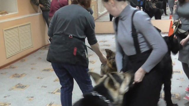 Руна в группе. Куча мала смотреть онлайн