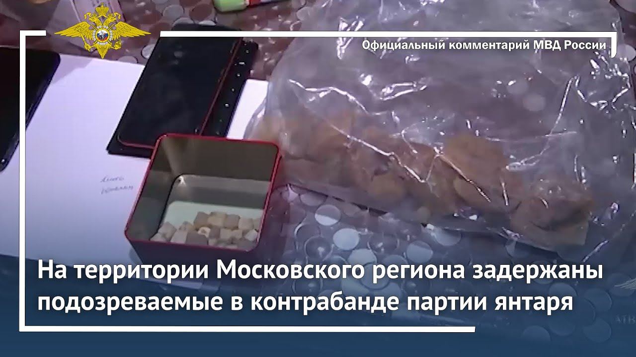 Ирина Волк: На территории Московского региона задержаны подозреваемые в контрабанде партии янтаря смотреть онлайн