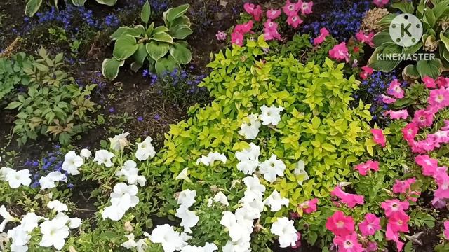 Уютный дом в Америке.Столько неверных шагов,что канал решено закрыть.Вы верите,что Яна его закроет? смотреть онлайн