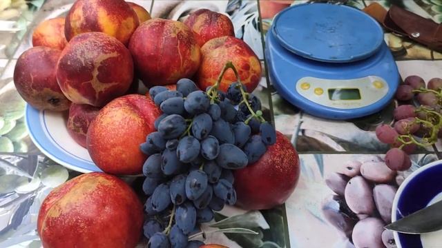 Нектарин Флеминг Фьюри PF - 11