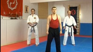 Дзесинмон Шоринрю Каратэ-до. Основы подготовки к реальному бою.