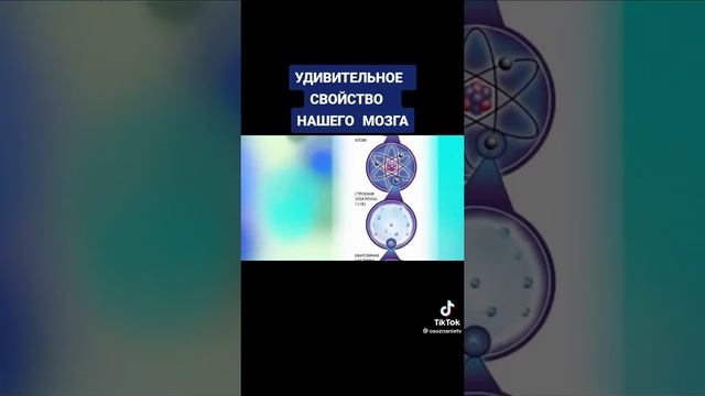 (&Всё Подряд&)