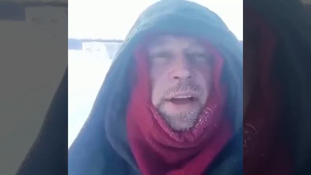Денис Теребихин о ферме овцебыков на Таймыре смотреть онлайн