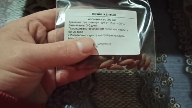 Кизил не только вкусно , но и ранний пыльценос. смотреть онлайн