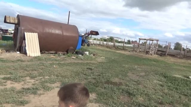 Видео от подписчика, последние новости, коровы слепнут((. смотреть онлайн