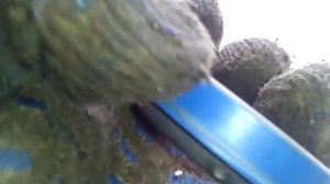 Ставим сальник привода кпп ланос