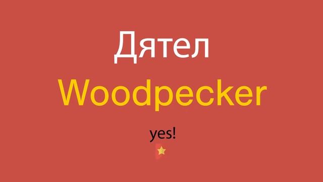 Дятел по-английски смотреть онлайн