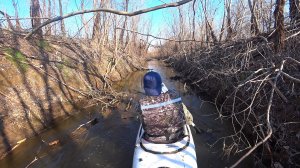 СКРЫТОЕ ОТ ГЛАЗ. РЫБЫ ТАМ МНОГО. Рыбалка на поплавок. Рыбалка на поплавочную удочку