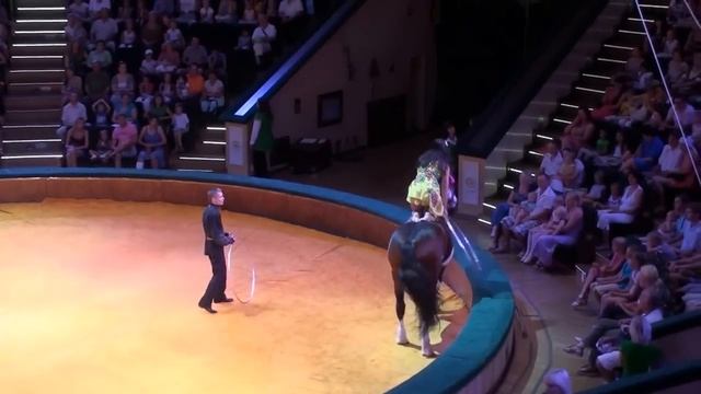 Анастасия Евхименко "Хула-хупы на лошади" смотреть онлайн