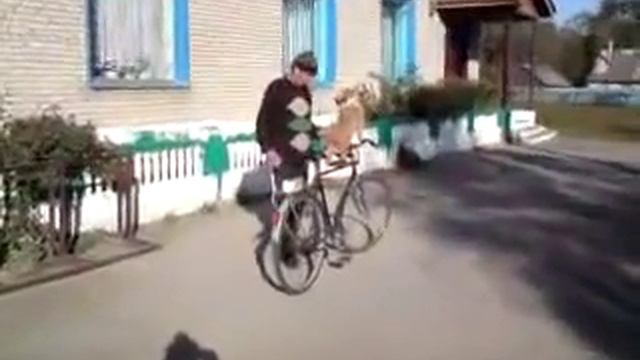 Поющий собака Тишка. Калина красная, калина вызрела... смотреть онлайн
