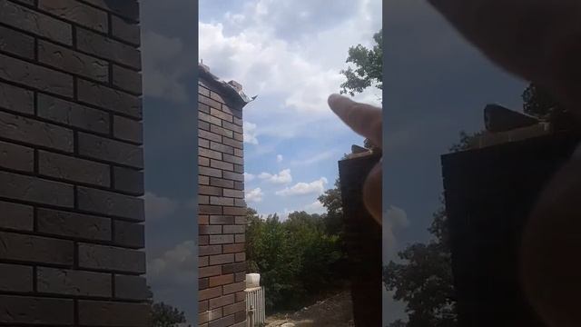 #маурлат#столб#кирпичный#внутримонолит#армированный#и#шилька