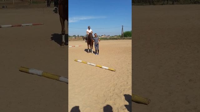 Нуриев. Как приучить к железу молодую лошадь смотреть онлайн