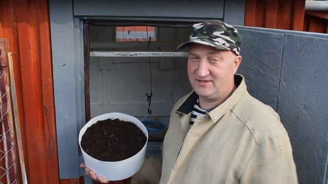 Чудо подстилка для цыплят. смотреть онлайн