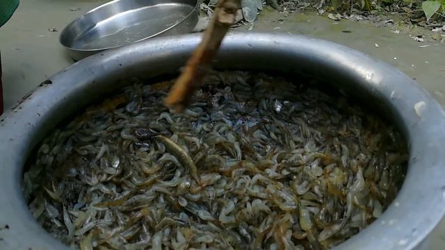 small jhinga।500g prawns recipe fry cooking&eating inmy village।prawns recipe with village masala смотреть онлайн