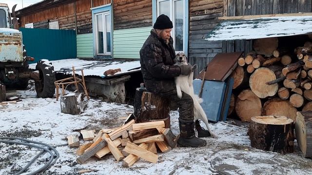 Чуя танцует! смотреть онлайн