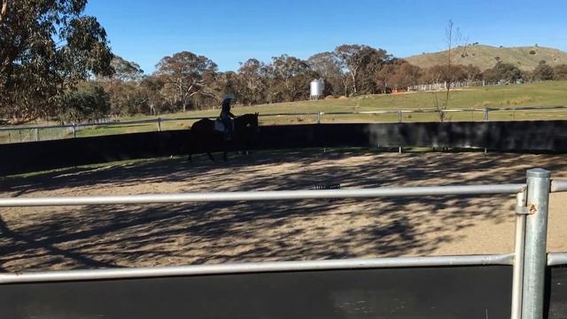 Rainwood Park Ramblin Rose #2 1/7/17 смотреть онлайн