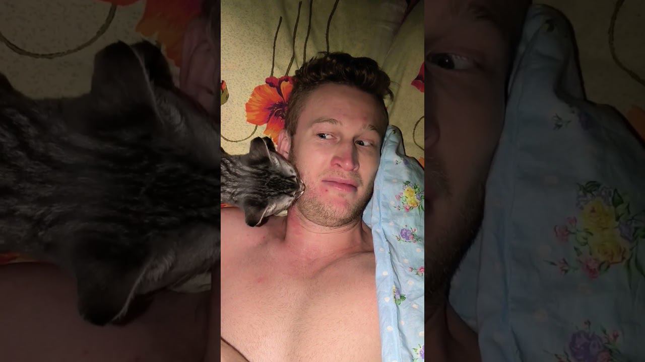 проснулся от того, что кто то меня... #юмор #ржака смотреть онлайн