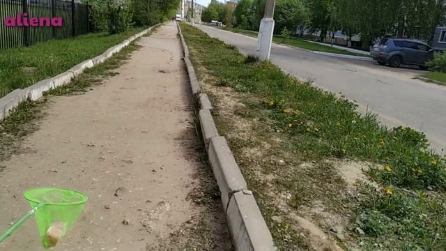 Как избавиться от нежелательных волос ||blog ||гуляем, похолодало|| смотреть онлайн