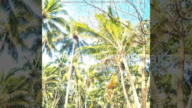 Безмятежный - Моменты Эхо смотреть онлайн