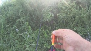 Рыбалка на линя ловля линя в августе Рыбалка на поплавок