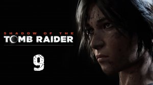 Shadow of the Tomb Raider - Гробница и нычки у самолёта - Прохождение игры [#9] | PC (2019 г.)