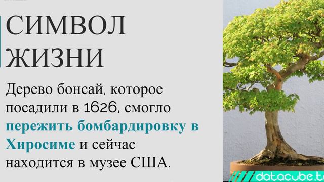 11 фактов об атомных бомбах и городах Хиросима и Нагасаки смотреть онлайн