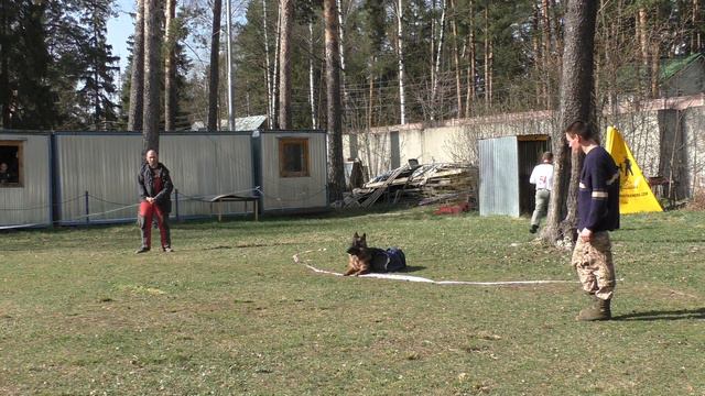 Чемпионат Московской области 2017 г. по ОКД и ЗКС (ЗКС). смотреть онлайн