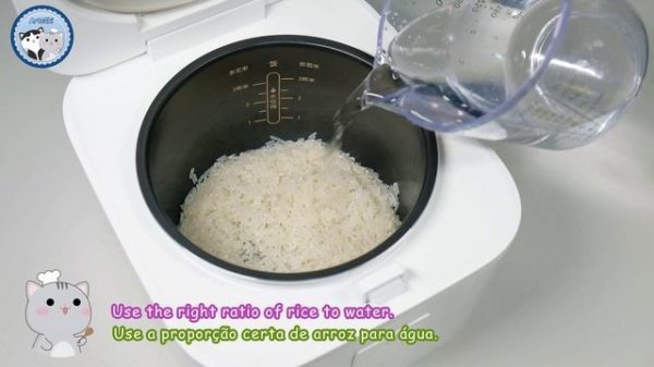 How To Cook Rice With Xiaomi Mijia Mini Rice Cooker 2 ? Como Usar A Mini Panela De Arroz Da Xiaomi