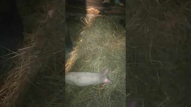 Андрюха! Ты тута ? И я тута 😂😂😂