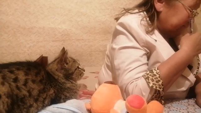 Часть 31. Екатерина II. Разногласия смотреть онлайн