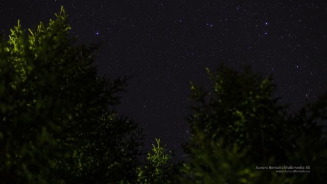 Northern Lights in Lofoten - Aurora Borealis in the Lofoten Islands -Norway смотреть онлайн