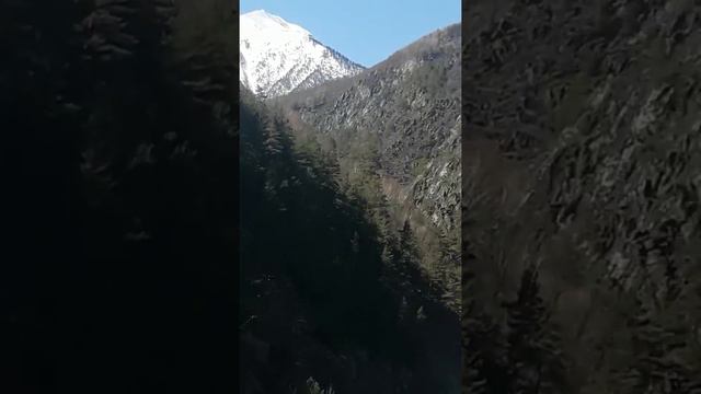 Где начинается андийское койсу это надо видеть смотреть онлайн