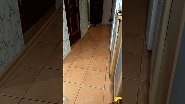 давай играть!