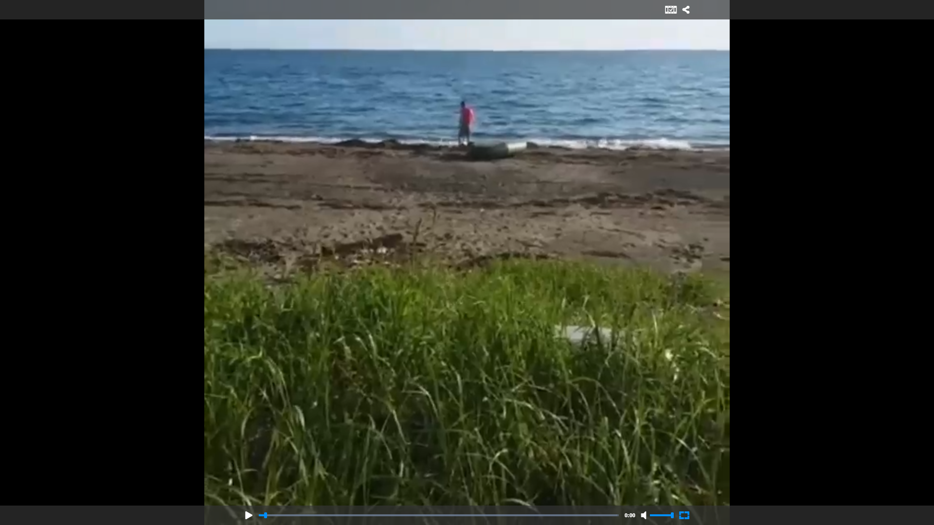 Федя ищет водку смотреть онлайн