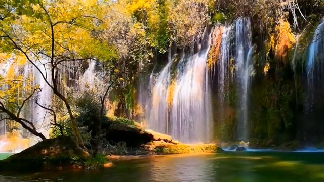 Красивый водопад, прекрасные звуки леса и пение птиц подарят вам приятный релакс смотреть онлайн