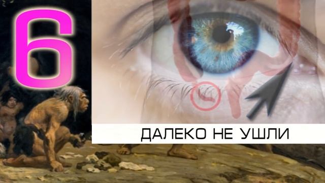 10 ФАКТОВ И МИФОВ О НАШЕМ ТЕЛЕ смотреть онлайн