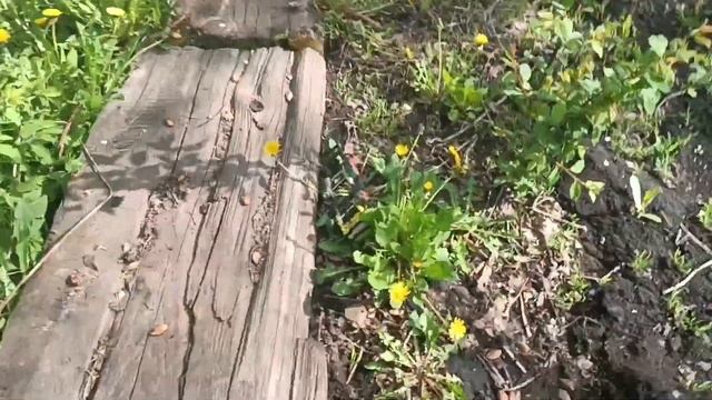 Слепил КамАЗ 5511 из пластилина! смотреть онлайн