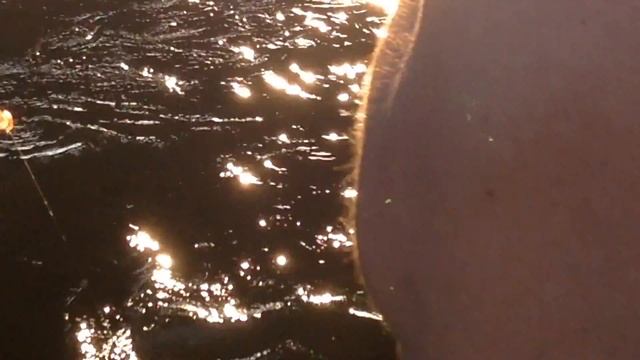 ГОРОДСКАЯ РЫБАЛКА - ТУЛЬСКИЙ ЯЗЬ!!! смотреть онлайн