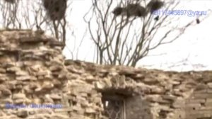 Удивительные и загадочные места Ленинградской области