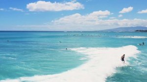 Чага польза и вред