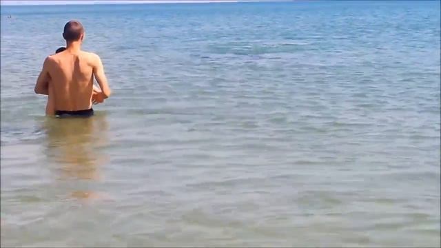 Бесстрашный дельфин. Разгон на берег. смотреть онлайн