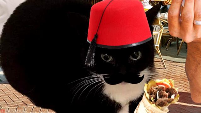 Maxwell The Cat in different languages meme смотреть онлайн