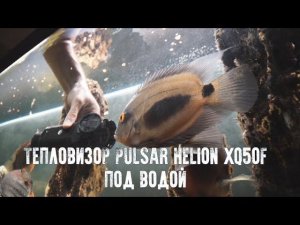 Как работает тепловизор по водой