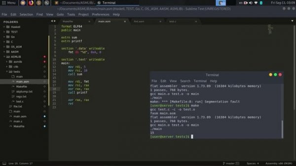 // Язык Ассемблера #10 [FASM, Linux, x86-64] //