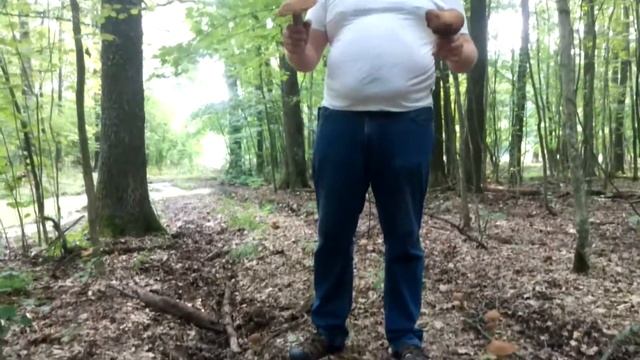 Белые грибы Белгород смотреть онлайн