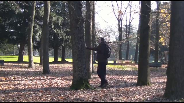 Prayer for the trees смотреть онлайн