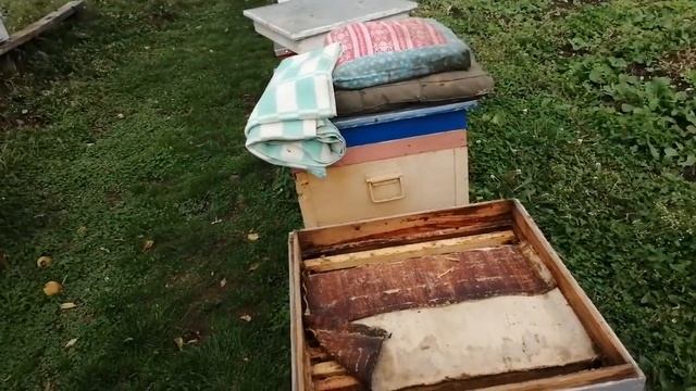 Вентиляция и утепление пчёл в зиму. смотреть онлайн